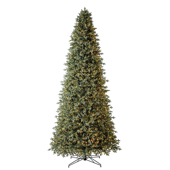 Sapin de Noël artificiel illuminé Aspen EZ Connect de 3,7 m (12 pi)