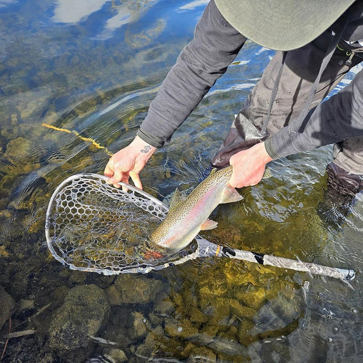 Wetfly - Grand filet de pêche en fibre carbone