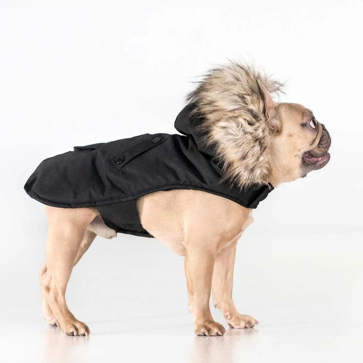 Karter - Manteau pour chien