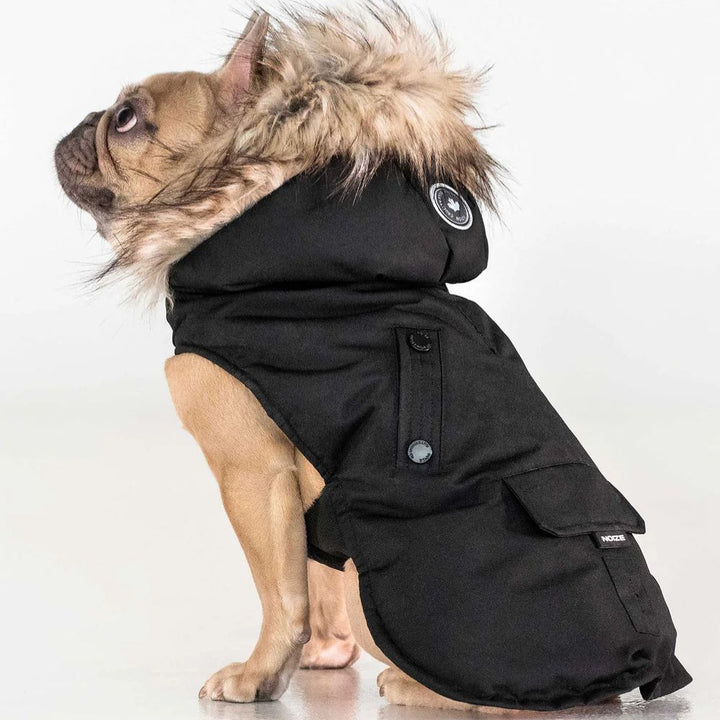 Karter - Manteau pour chien