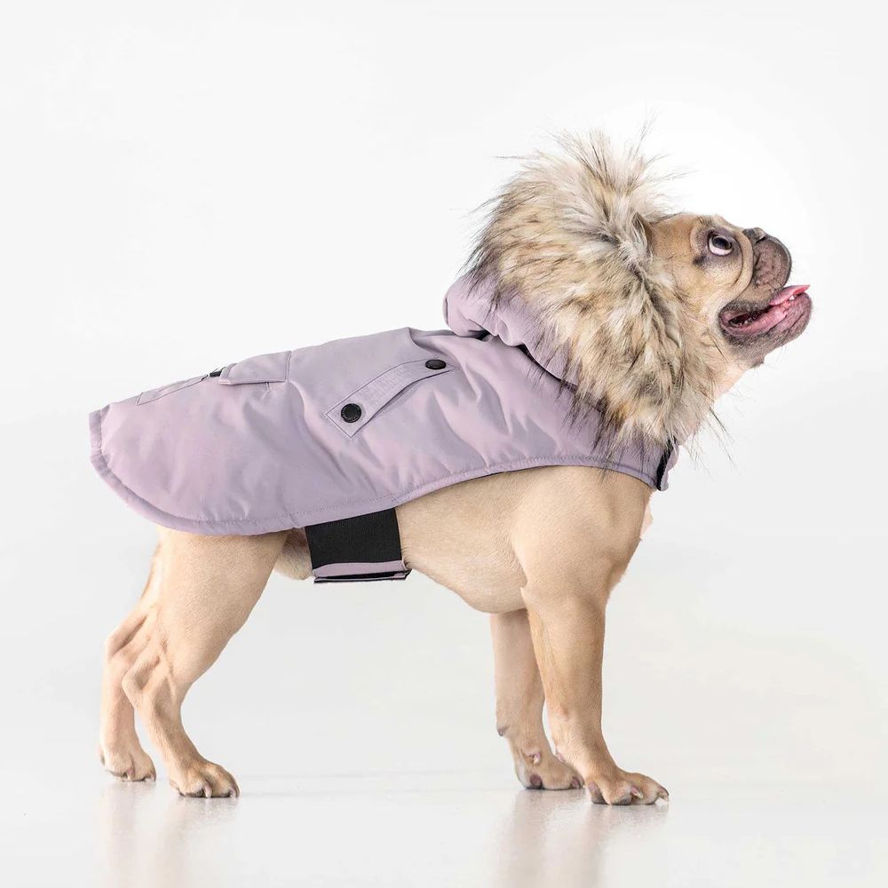 Karter - Manteau pour chien