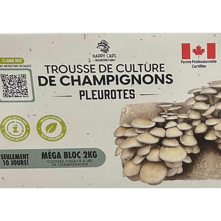 Happy caps - Trousses de culture de champignons