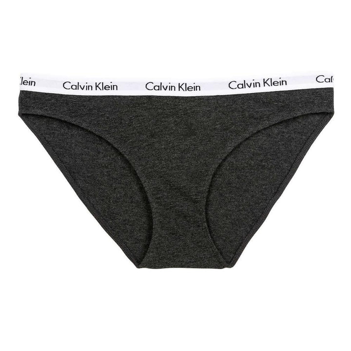 Calvin Klein Women's Bikini Brief, 4 Pack