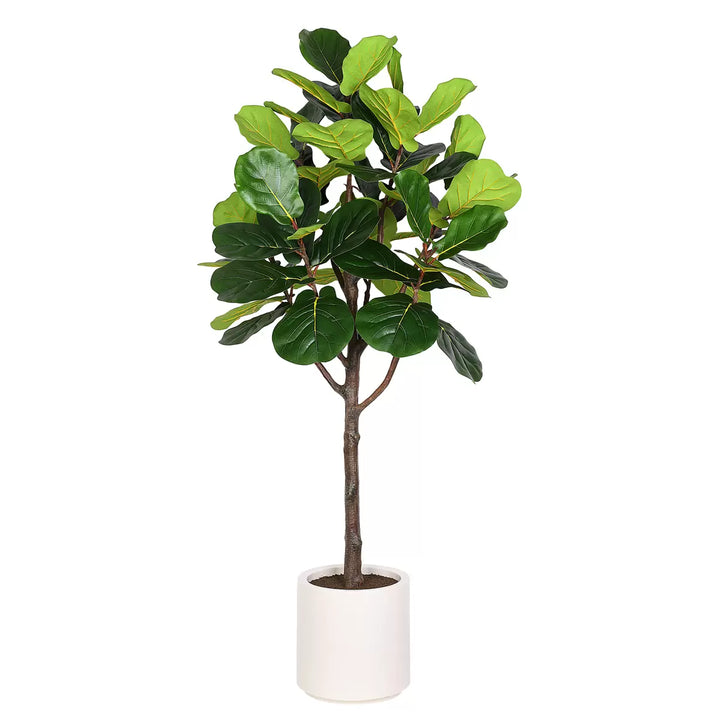 CG Hunter Artificial Fig Tree - 6.5 ft (1.9 m)