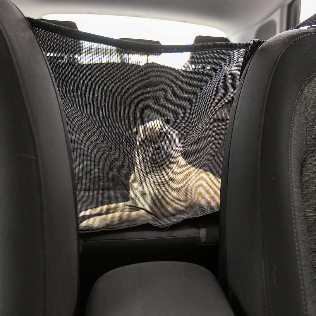 Housse de siège de voiture pour animaux